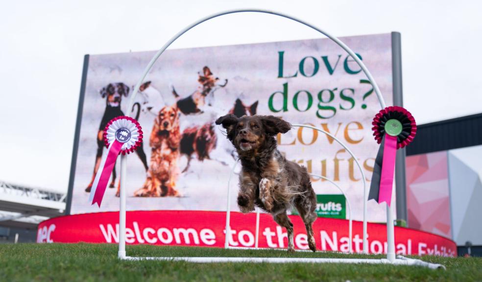 Crufts 2025 Qualification